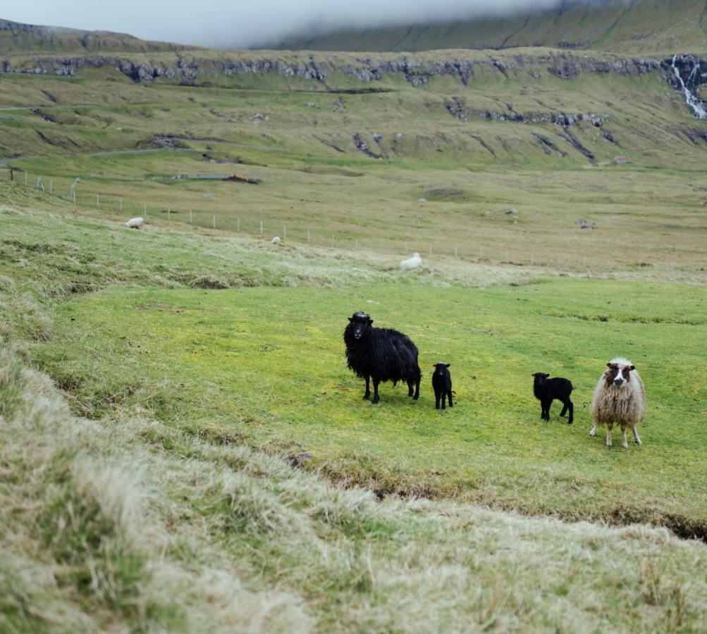 Authentic Faroese House / Unique Location / Nature Hellurnar Экстерьер фото